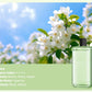 Household Automatic Spray Aromatherapy Machine