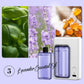 Household Automatic Spray Aromatherapy Machine