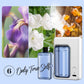 Household Automatic Spray Aromatherapy Machine